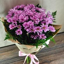 Букет цветов из:  Хризантемы #REPLACE_PRED# Принцевке