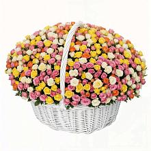 Премиум букет из: Розы в Принцевке