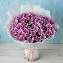 Букет цветов из:  Хризантемы #REPLACE_PRED# Принцевке