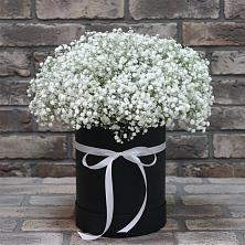 Цветочная композиция из Гипсофила в шляпной коробке в Принцевке