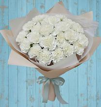 Букет цветов из:  Гвоздики #REPLACE_PRED# Принцевке