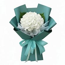 Букет цветов из:  Гортензия в Принцевке